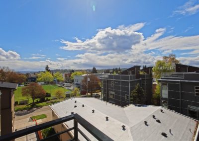 1746 rooftop deck view