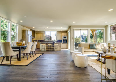 Living area long shot